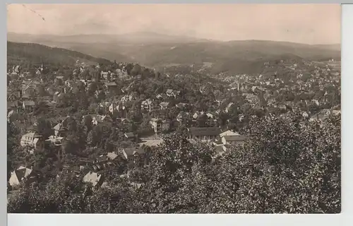 (67225) Foto AK Wernigerode, Harz, Panorama 1962