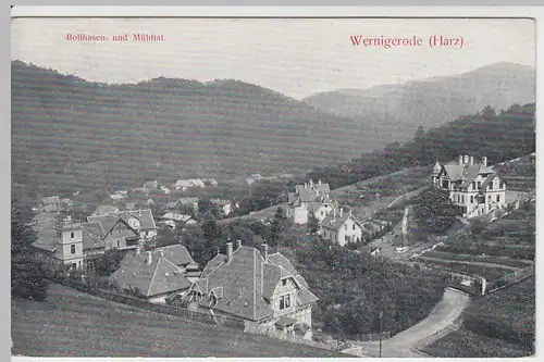 (53164) AK Wernigerode, Bollhasental u. Mühltal, 1908