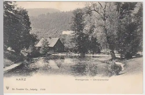 (51876) AK Wernigerode, Christianenthal, vor 1905