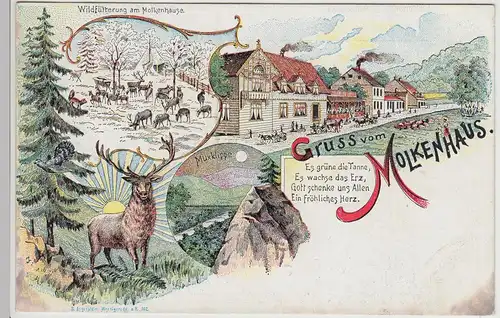 (115145) AK Gruss vom Molkenhaus (Wernigerode), Litho um 1905