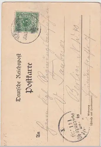 (113442) AK Gruß aus Wernigerode, Steinerne Renne 1897