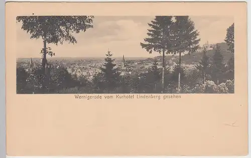 (109397) AK Wernigerode, Panorama, Blick vom Kurhotel Lindenberg, vor 1945