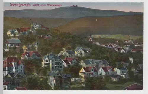 (106856) AK Wernigerode, Panorama, Blick vom Blumenweg, vor 1945