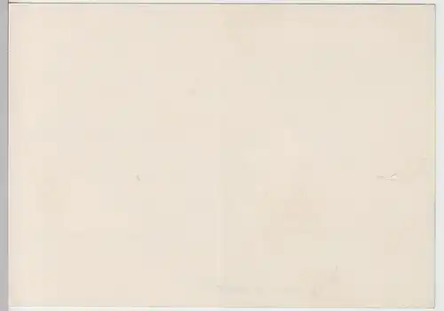 (111257) Werbe-AK Wasserschlauch "Goldschlange" v. Paguac 1940er