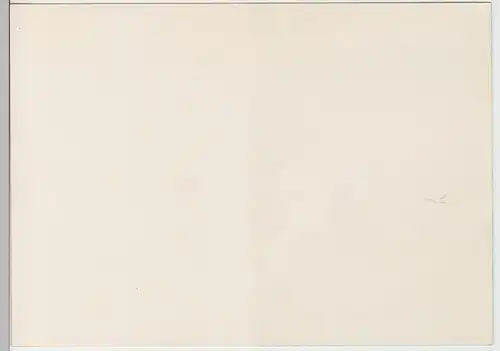 (111255) Werbe-AK Wasserschlauch "Goldschlange" v. Paguac 1940er