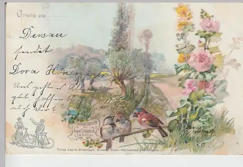 (105528) AK Grußkarte, Blumen, Natur, Vöglein, 1904