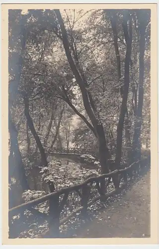 (20016) Foto AK Weimar, Thür., Naturbrücke 1932