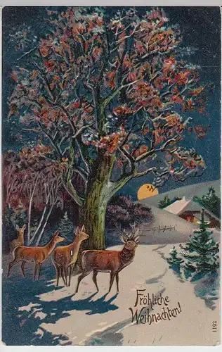 (32345) AK Weihnachten, Hirsche bei Nacht, Prägekarte, 1911