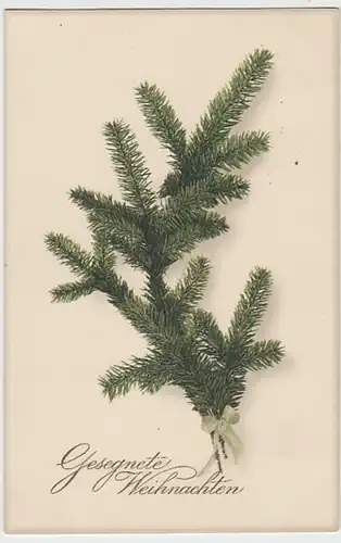 (23971) AK Weihnachten, Tannenzweig mit Schleife 1916