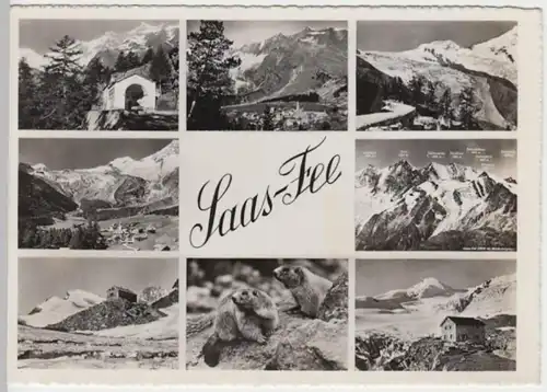 (14599) Foto AK Saas-Fee, Mehrbildkarte, nach 1945