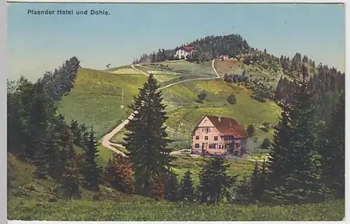 (19171) AK Lochau, Vorarlberg, Pfänder, Hotel, Dohle, vor 1945