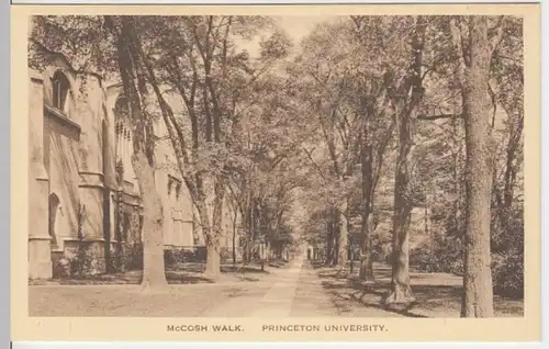 (3705) AK Princeton University, McCosh Walk vor 1945