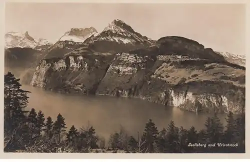 (823) Foto AK Seelisberg, Uri Rotstock