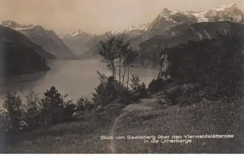 (821) Foto AK Vierwaldstättersee, Blick von Seelisberg, Urnerberge 1920er