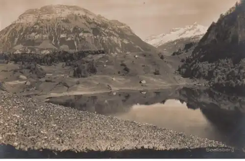 (767) Foto AK Seelisberg, Panorama