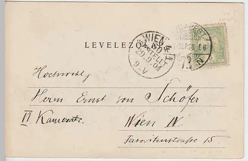 (32207) AK Budapest, Stadtwald-Partie, 1901