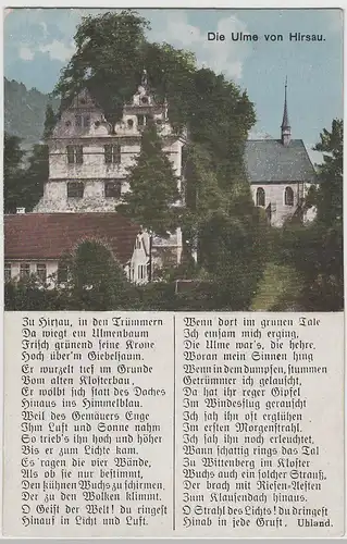 (75635) AK Hirsau, Ulme im Schloss, Zu Hirsau in den Trümmern, vor 1945