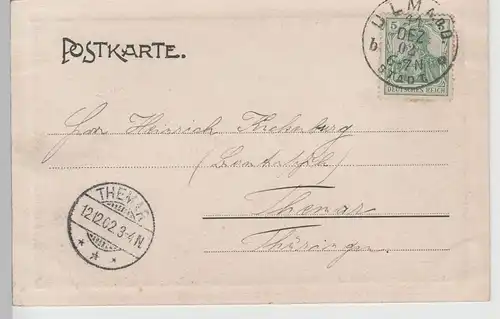 (71066) AK Ulm, Dom von Osten 1902