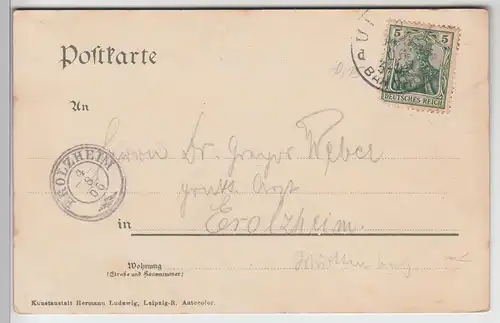 (101541) AK Ulm, Gesamtansicht von Norden 1906