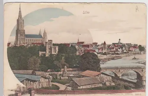 (101539) AK Ulm, Ansicht mit Holz-Betrieb, Tischlerei, bis 1905
