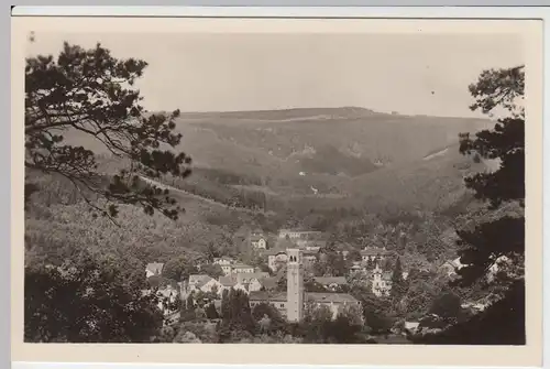 (53750) Foto AK Dubi, Eichwald im Erzgebirge, 1957