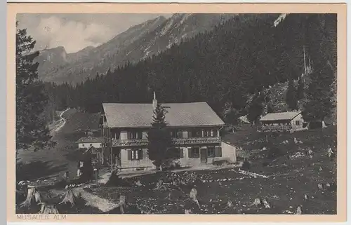 (53034) AK Musau, Musauer Alm Hütte, vor 1945