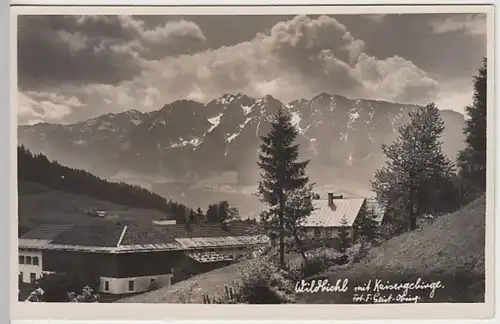(28036) Foto AK Wildbichl mit Kaisergebirge