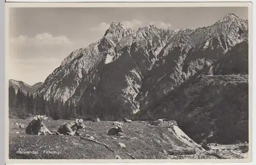 (11998) Foto AK Karwendel, Steinfalk, Risser Falk, vor 1945