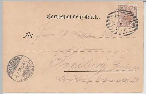 (110991) AK Gruss aus Innsbruck, Alpen-Post, Litho 1899