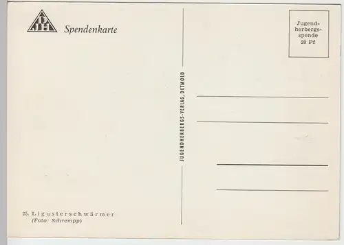 (96413) AK Ligusterschwärmer, 1945-1950er