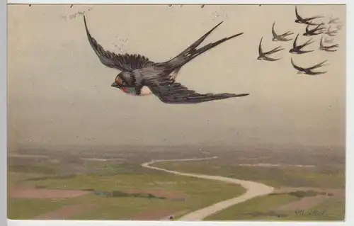(93514) Künstler AK Schwalben im Flug 1905