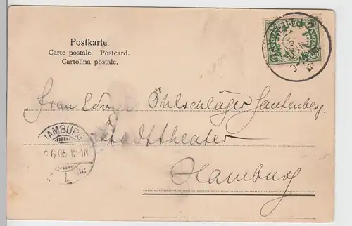 (93513) AK zwei Hunde vor dem Hause 1905