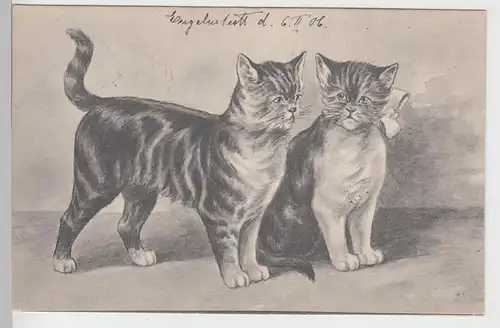 (93510) Künstler AK Zwei Kätzchen 1906