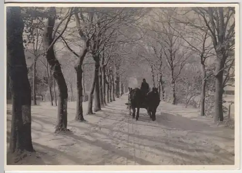 (5237) Foto AK Pferdefuhrwerk, Winter, Allee, Ort unbekannt, vor 1945