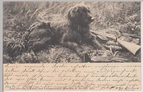 (111936) AK Jagdhund mit Gewehr und Beute 1898