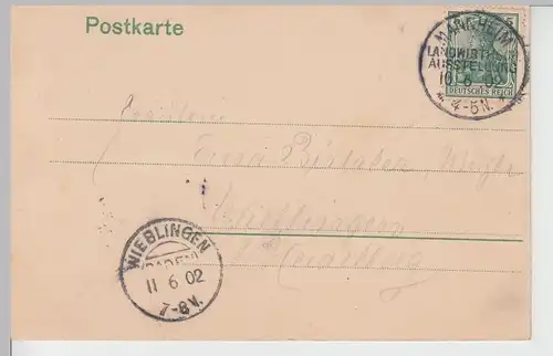 (107633) AK Mannheim, Ziegen bei der 16. Landwirtschafts-Ausstellung 1902