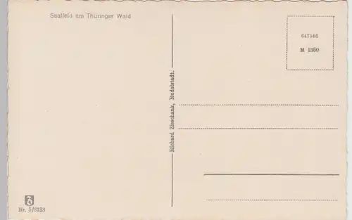 (99936) AK Saalfeld, Saale, Feengrotten, Märchendom, vor 1945