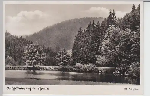 (99868) Foto AK Knöpfelstaler Teich, Schortetal, Thüringer Wald 1936