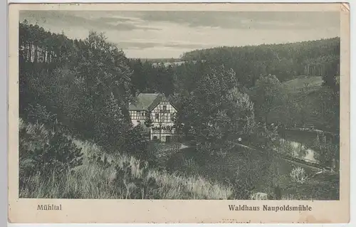 (99813) AK Eisenberger Mühltal, Gasthof Naupoldsmühle, vor 1945