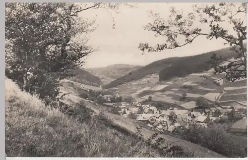 (99793) Foto AK Schönbrunn, Oberneubrunn, Thüringer Wald 1963