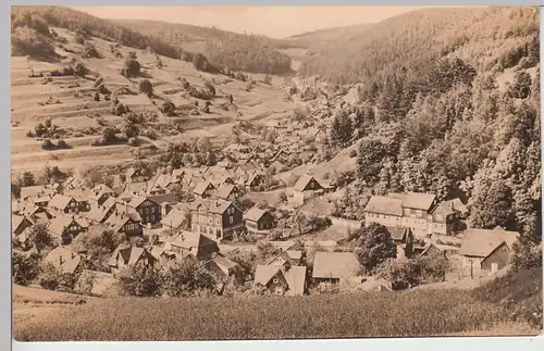 (99790) Foto AK Gießübel, Thüringer Wald, Panorama 1963