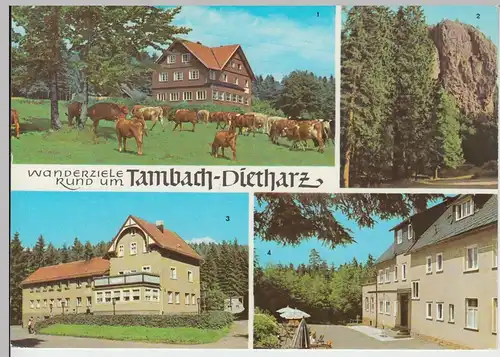 (99311) AK Tambach-Dietharz, Mehrbildkarte Wanderziele, 1978