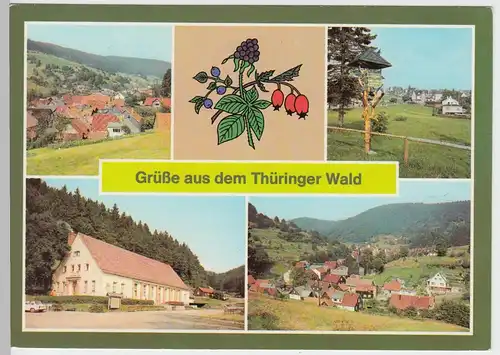 (99266) AK Kreis Hildburgshausen (Thüringer Wald), Mehrbildkarte, 1986