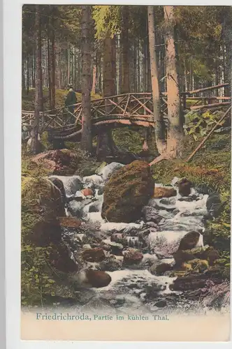 (98591) AK Friedrichroda, Partie im kühlen Tal, 1906