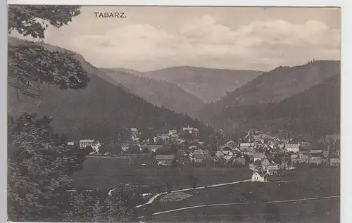 (96981) AK Tabarz, Gesamtansicht 1910