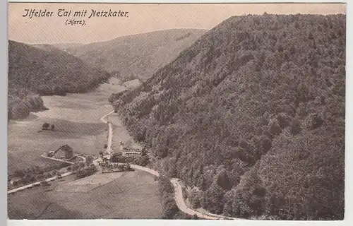 (96939) AK Ilfelder Tal mit Netzkater, vor 1945