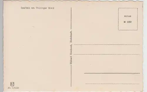 (96761) AK Saalfeld, Saale, Feengrotten, Märchendom, vor 1945