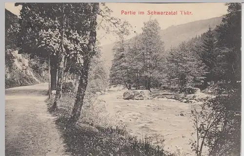 (96745) AK Partie im Schwarzatal, Thür. 1910