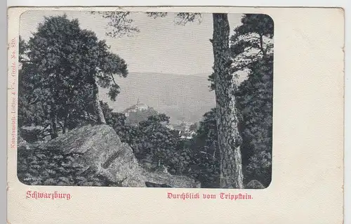 (96741) AK Schwarzburg, Thür., Durchblick vom Trippstein, bis 1905