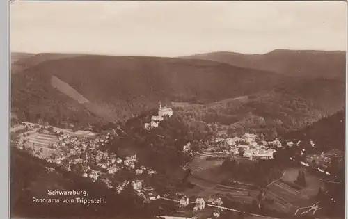 (96740) Foto AK Schwarzburg, Thür., Panorama vom Trippstein 1938